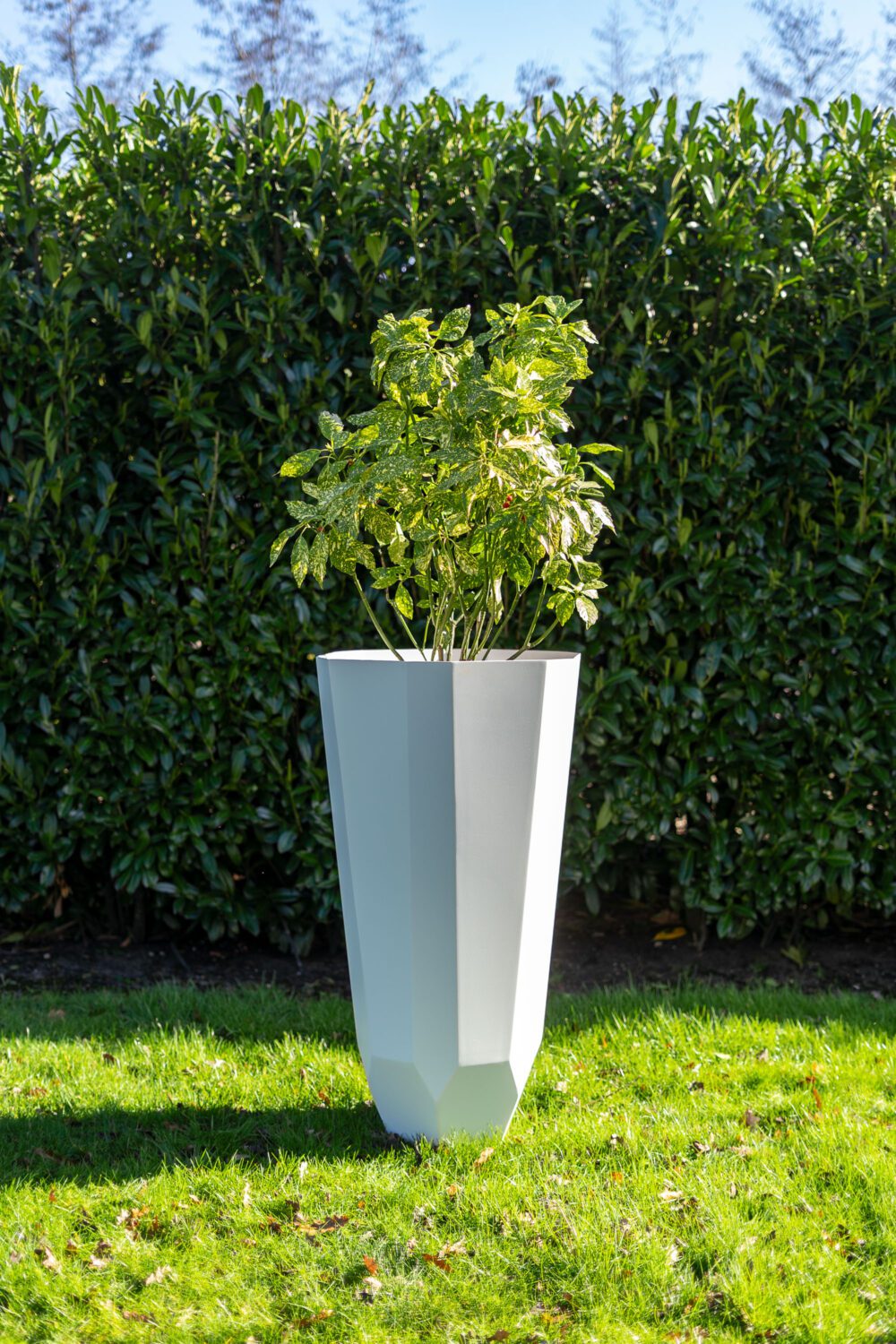 ADEZZ Facet - Image 4