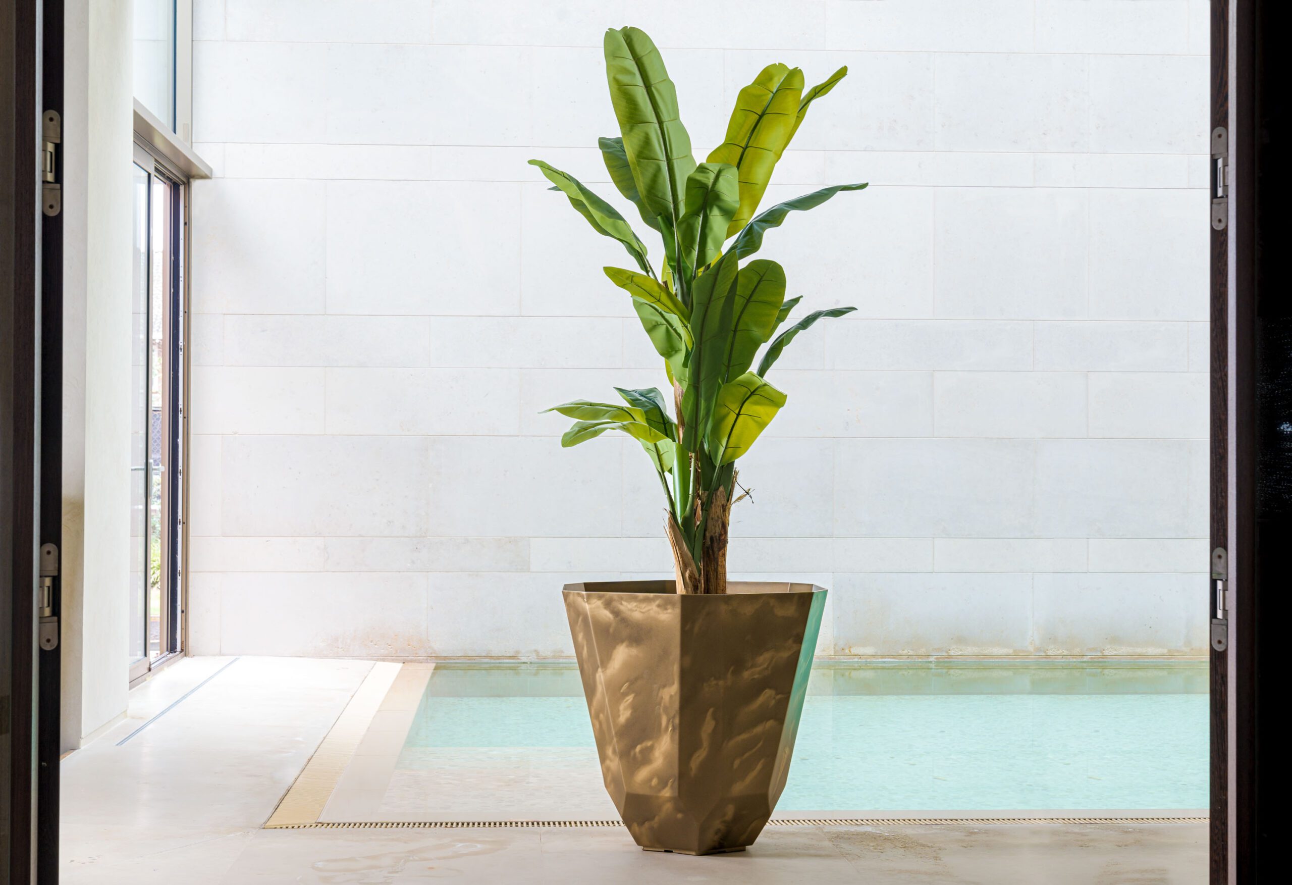 ADEZZ Facet - Image 5