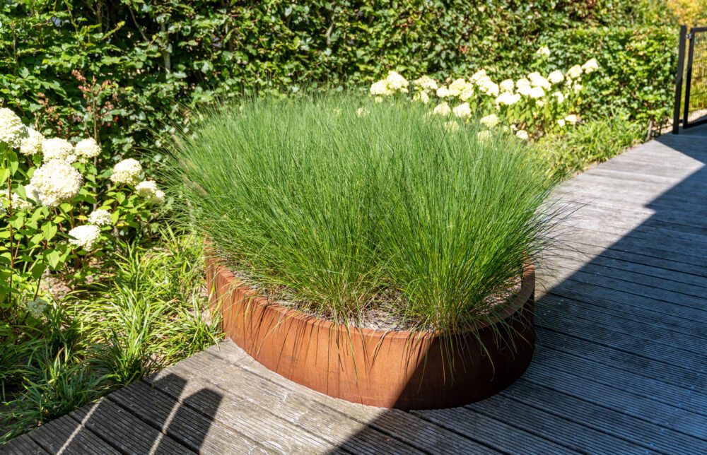 ADEZZ CorTen Ellipse - Image 2
