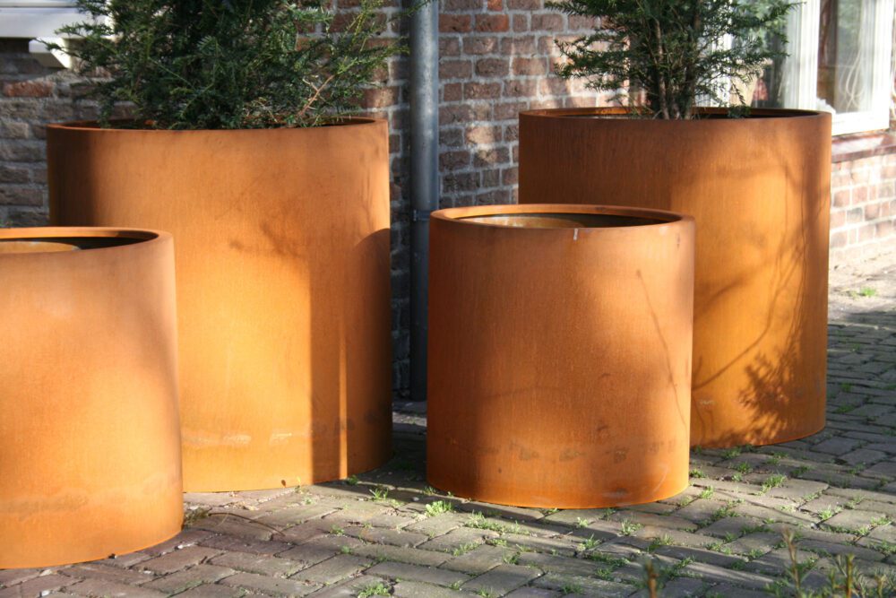 ADEZZ Circum - Image 7