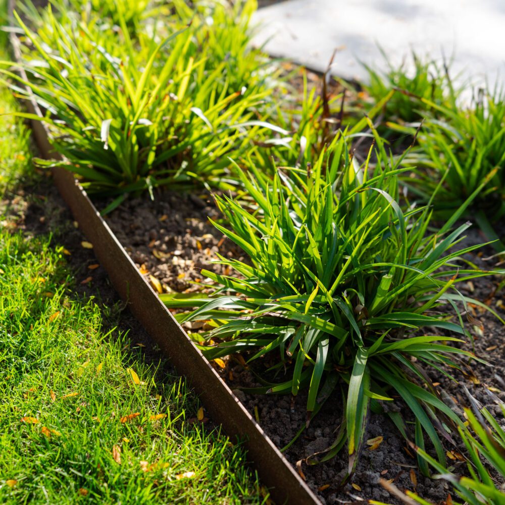 ADEZZ Corten Steel Edging