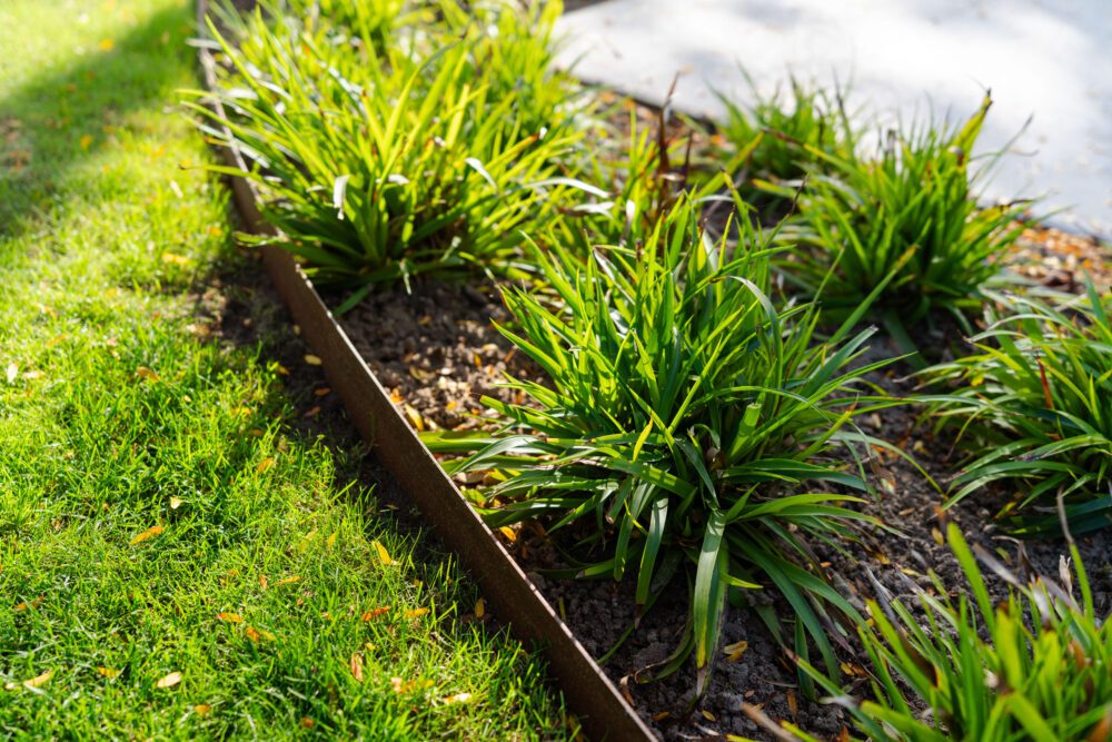ADEZZ Corten Steel Edging