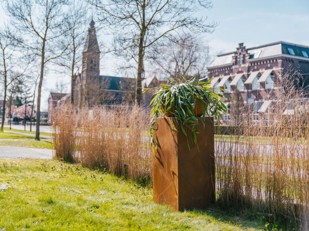 ADEZZ Socle - Image 4