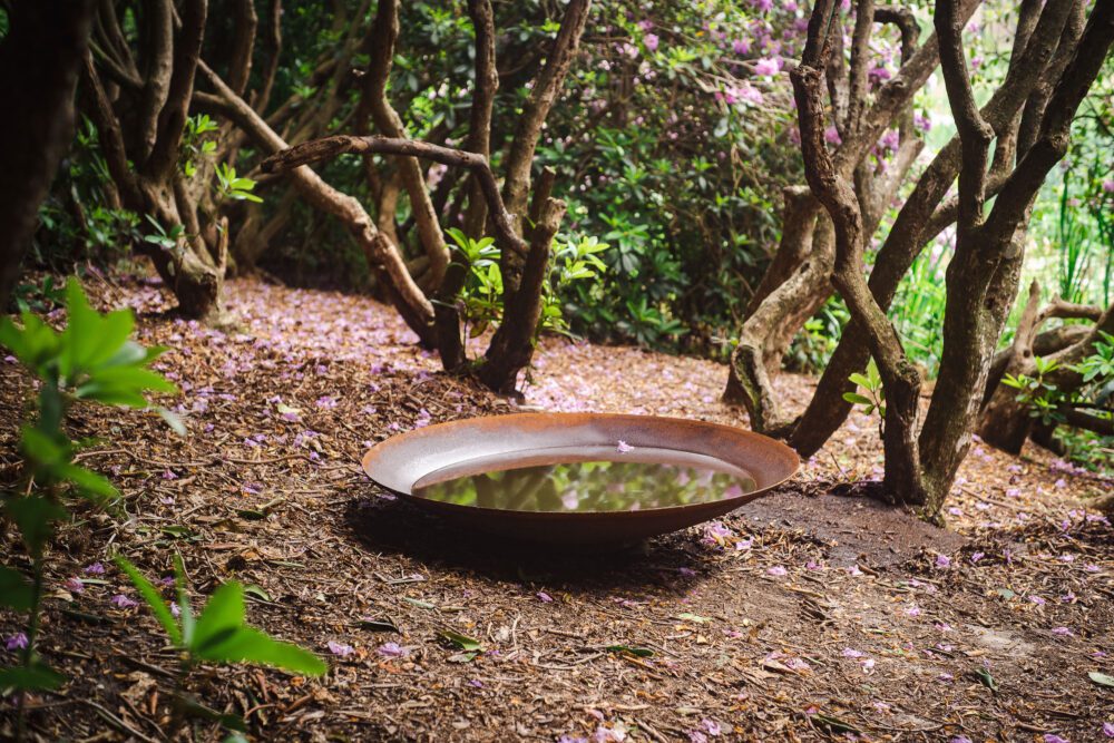 ADEZZ Steel Water Bowl - Image 3