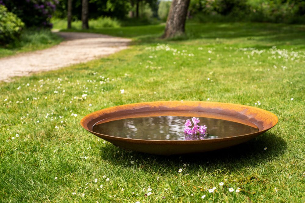 ADEZZ Steel Water Bowl - Image 4